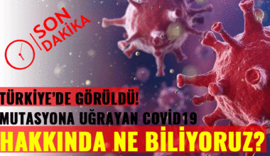 Türkiye’de de görülen koronavirüsün mutasyona uğramış yeni türü hakkında neler biliniyor?